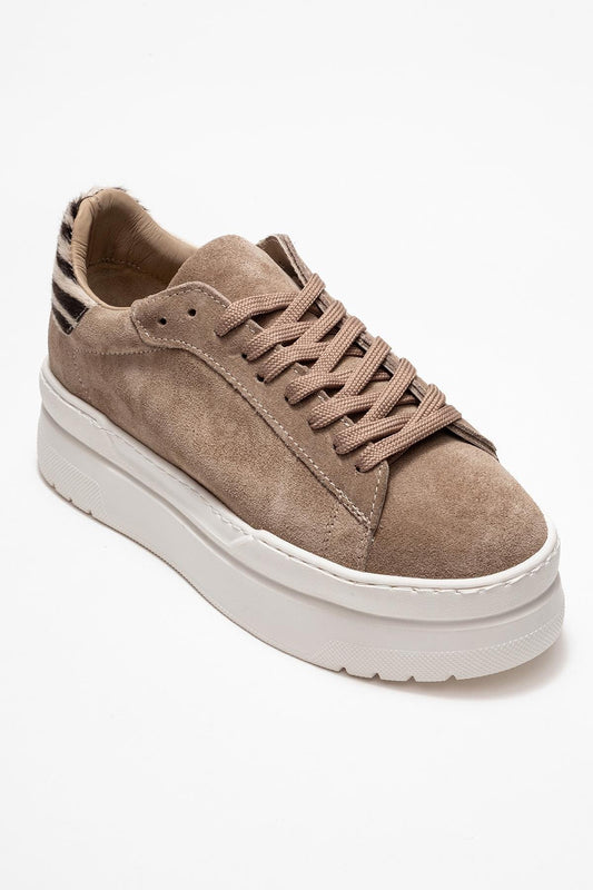 Anabel - Zapatillas Plataforma de Ante Color Topo (Mujer)