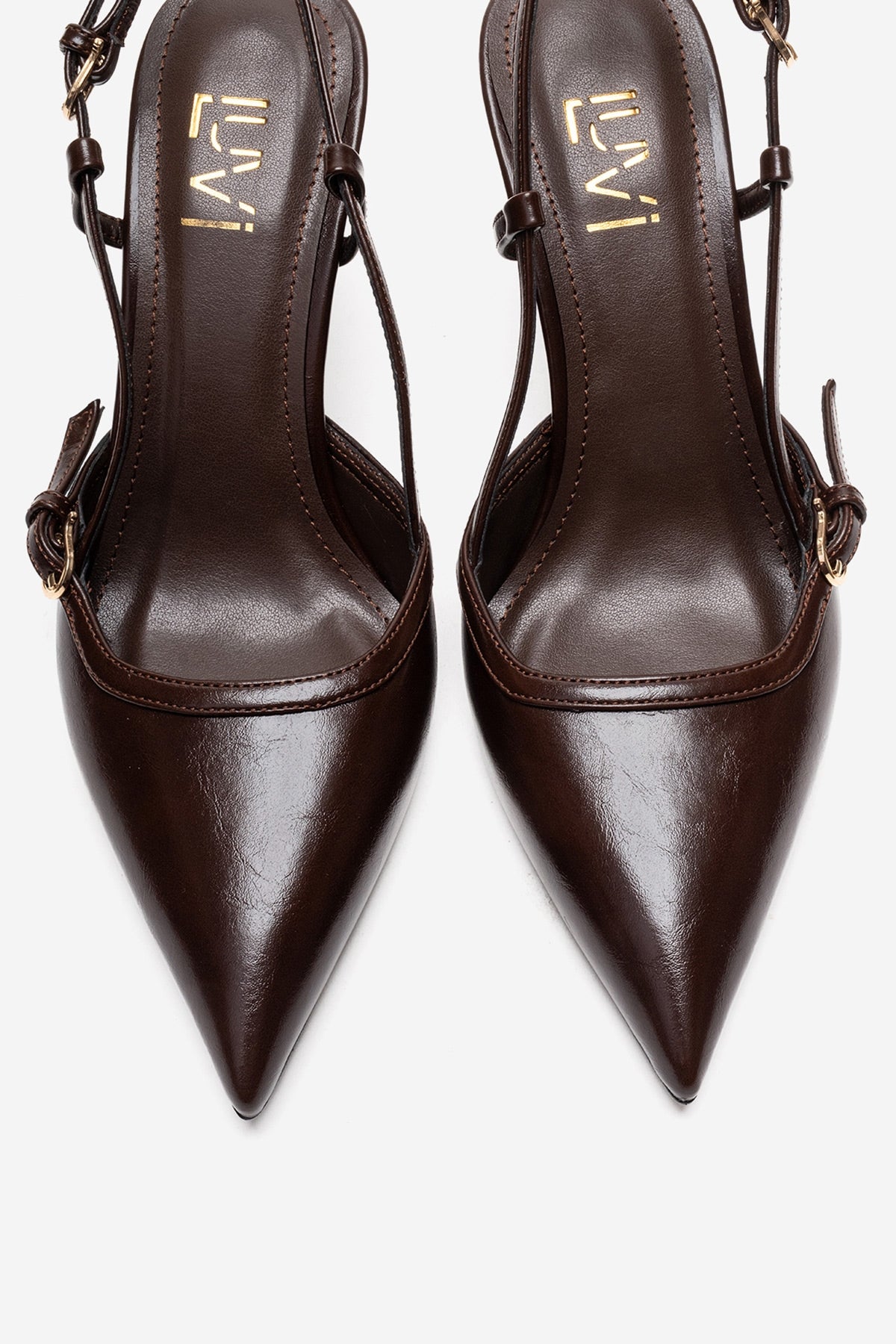 CELIA - Brown Block Heel Pointed Toe Shoe (Women)