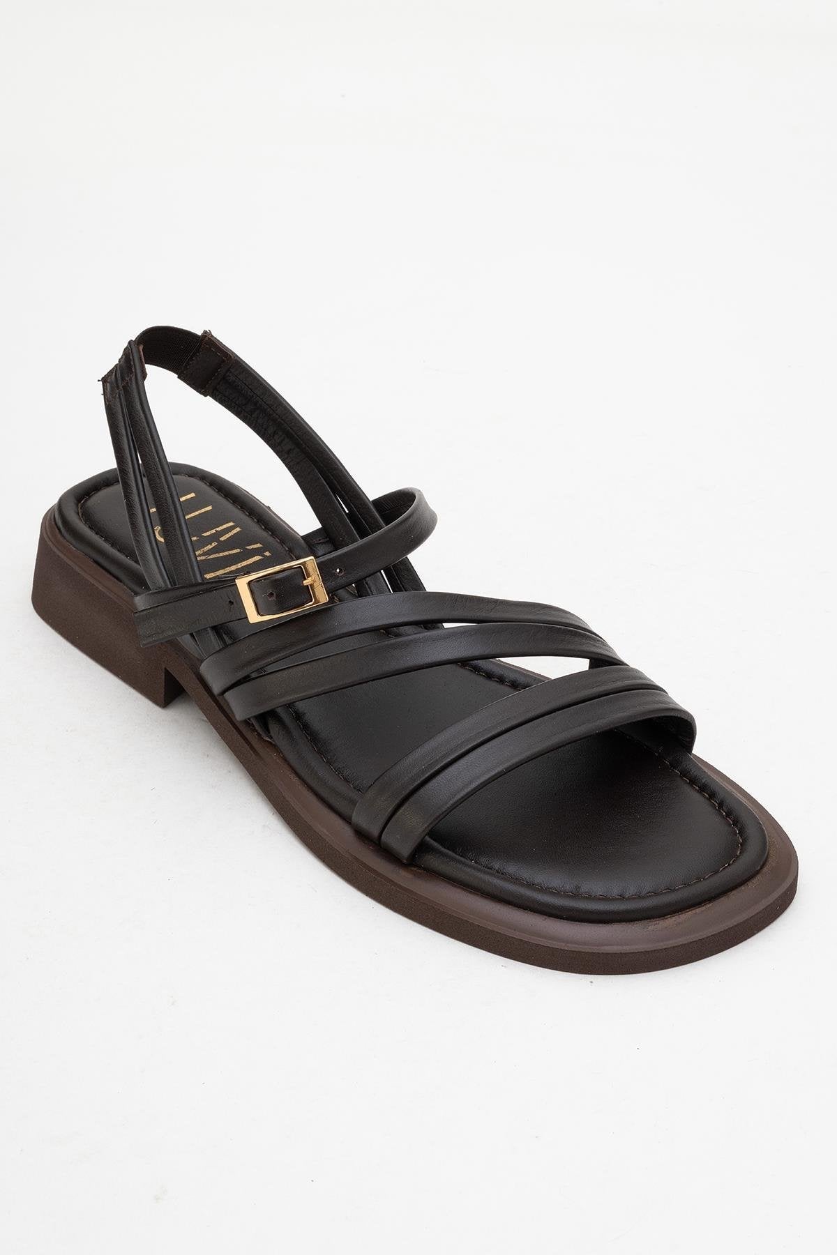 Cesar - Dark Brown Leather Sandals (Women)