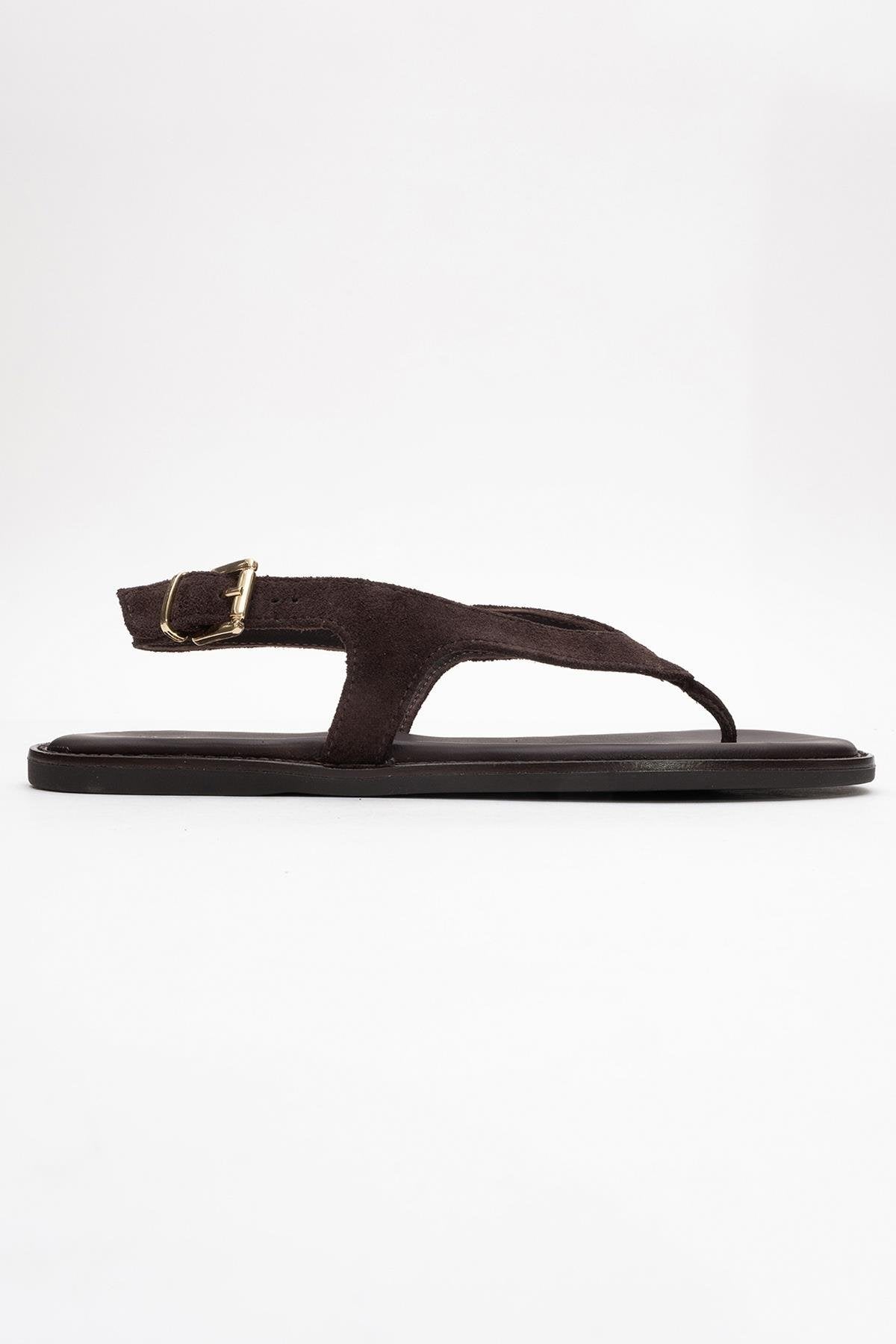 Belinda - Brown Suede Leather Thong Sandals (Women)